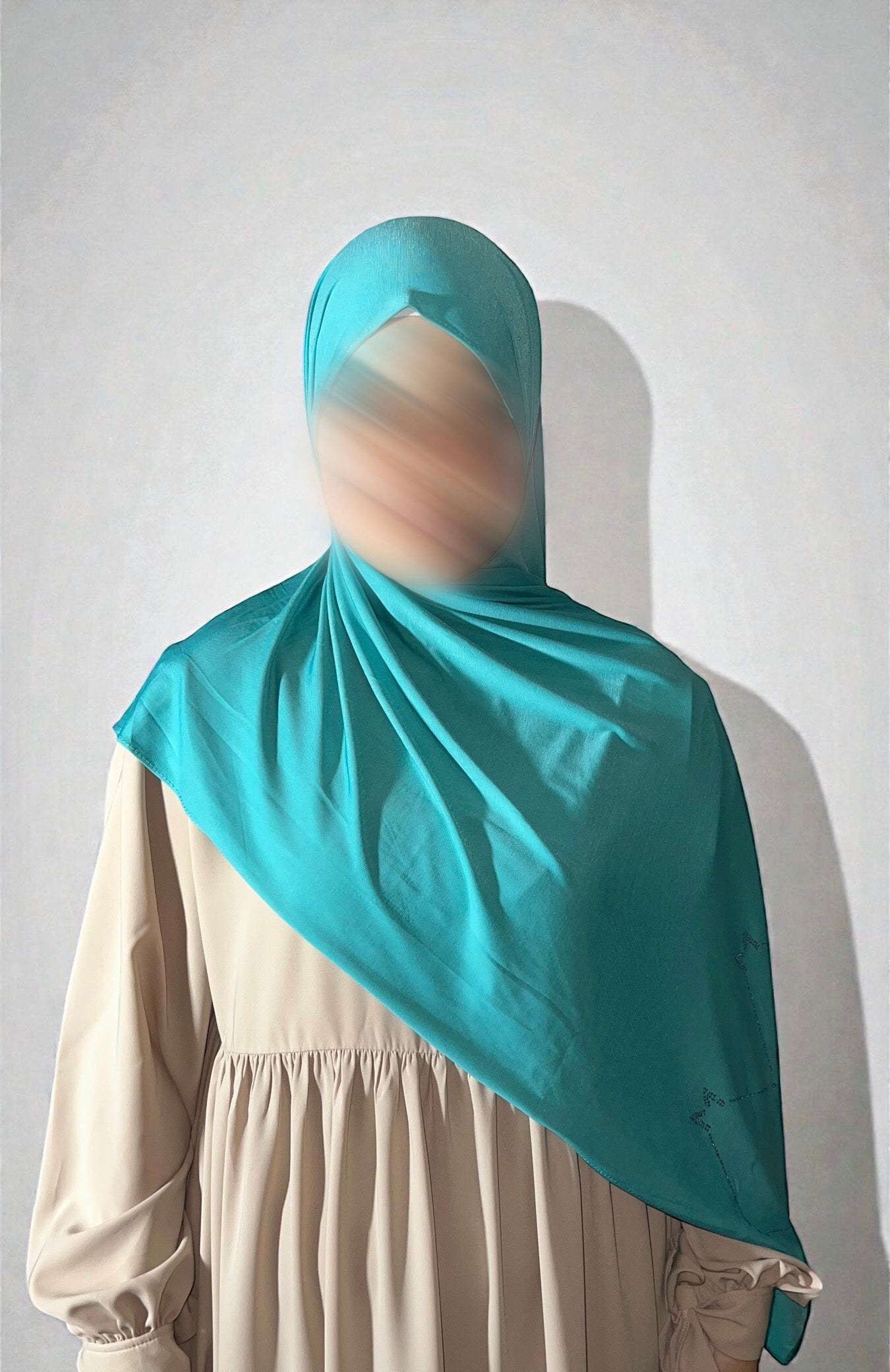 Premium Jersey Strass