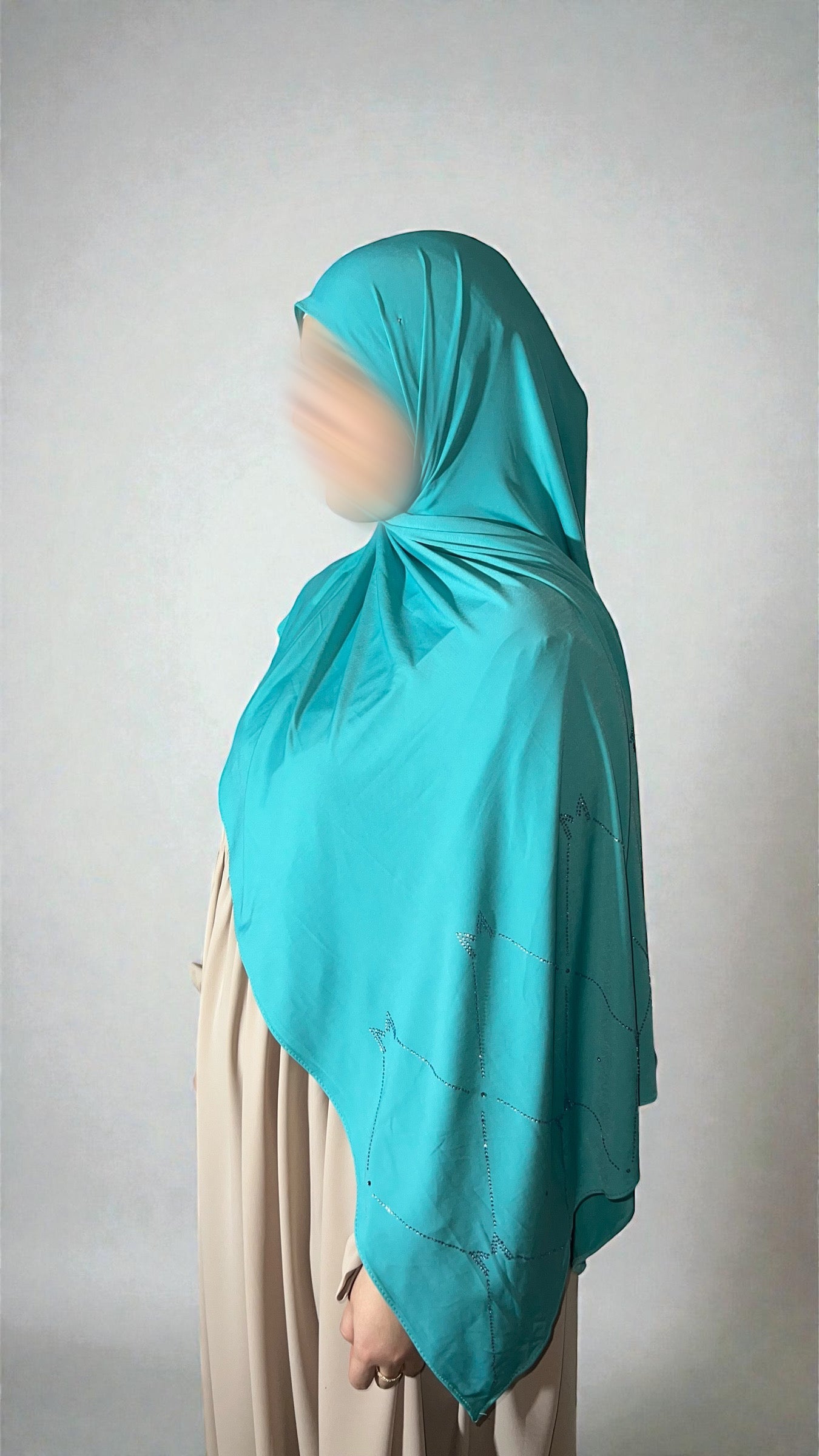 Premium Jersey Strass
